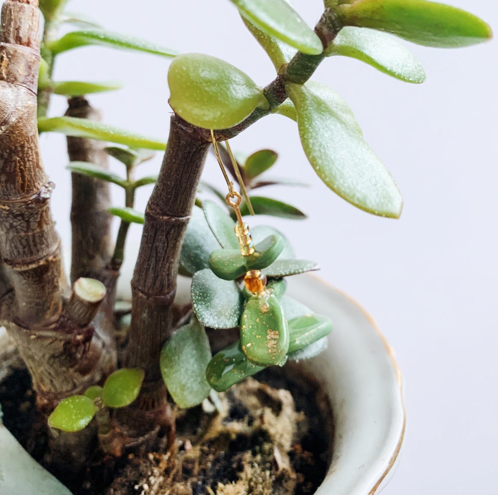 Jade Money Tree
